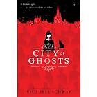 City of Ghosts (City of Ghosts #1)