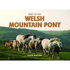 Spirit of the Welsh Mountain Pony