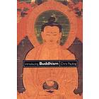 Introducing Buddhism