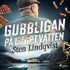 Gubbligan på djupt vatten Ljudbok