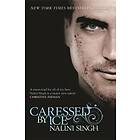 Caressed by Ice