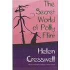 Secret World of Polly Flint