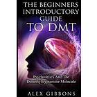 The Beginners Introductory Guide To DMT Psychedelics And The Dimethyltryptamine Molecule