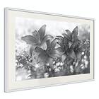 Artgeist Poster Affisch Silver Bouquet 90x60cm A3-DRBPRP0157 Med Passepartout