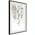 Artgeist Poster Affisch Hanging Twigs 40x60cm Svart Ram Med Passepartout