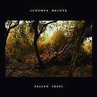 Melnyk Lubomyr - Fallen Trees CD