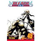 Bleach, Vol. 45