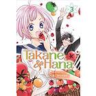 Takane & Hana, Vol. 3