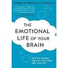 Emotional Life of Your Brain