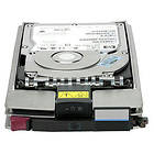 HP 364622-B21 300GB
