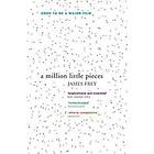 A Million Little Pieces