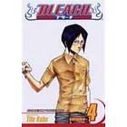 Bleach, Vol. 4