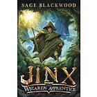 Jinx: The Wizard's Apprentice