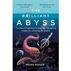 Brilliant Abyss