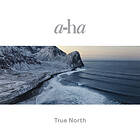 A-HA True North (Vinyl)