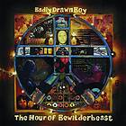 Badly Drawn Boy - The Hour Of Bewilderbeast (Vinyl)