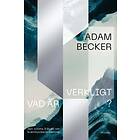 Vad är verkligt? Den olösta frågan om kvantfysikens mening