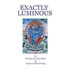Exactly Luminous: The erotic spiritual poems of the 6th Dalai Lama, Tsanyang Gyatso