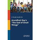 A Study Guide for Arundhati Roy's the God of Small Things