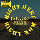 Fatboy Slim Right Here Now LP