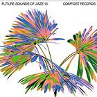 Diverse Electronica Future Sounds Of Jazz Vol. 15 LP