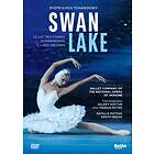 Tchaikovsky: Swan Lake: Ballet Company Of National Opera Ukraine (Dyadura) DVD