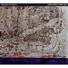 Wadada Leo Smith Rosa Parks: Pure Love An Oratorio Of Seven Songs CD