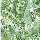 A Street Prints A Wallpaper Green Palm Leaf Tapet Signature FD24136