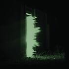 Fink Horizontalism CD