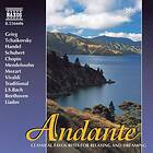 Andante - Andante CD