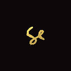 Sylvan Esso CD