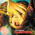 Flaming Lips Embryonic CD