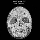 Bonnie Prince Billy I See A Darkness CD