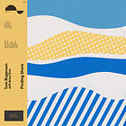 Tom Rogerson With Brian Finding Shore CD