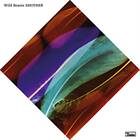 Wild Beasts Smother CD