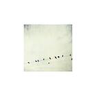 Heidi Spencer & The Rare Birds Under Streetlight Glow CD
