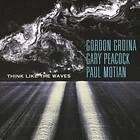 Grdina Think Like The Waves [Sacd/CD Hybrid] CD