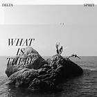 Delta Spirit - What Is There CD