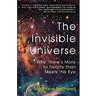 The Invisible Universe