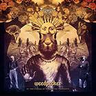 Weedpecker IV The Stream Of Forgotten Thoughts Limited Edition LP