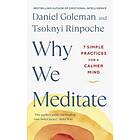 Why We Meditate