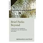 Brief Peeks Beyond