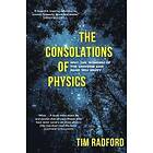 The Consolations of Physics