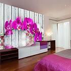 Arkiio Fototapet Violet Orchids With Water Re reflexion 300x231