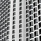 KVB Fixation/White Walls LP