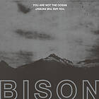 Bison - You Are Not The Ocean Patien CD