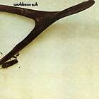 Wishbone Ash CD