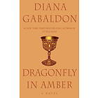 Dragonfly in Amber