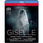 Giselle: The Royal Ballet (Wordsworth) (UK-import) Blu-ray