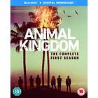 Animal Kingdom: The Complete First Season (UK-import) Blu-ray